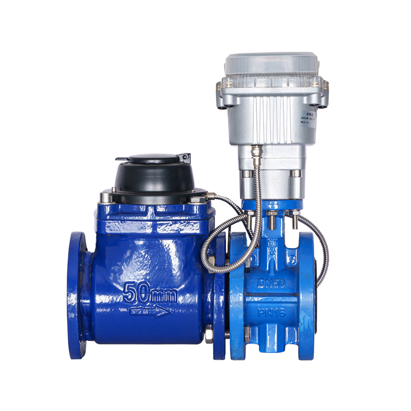Contatore per acqua controllato da valvola ad ala a vite rimovibile orizzontale WPH DN50-DN200 (con valvola impilata)