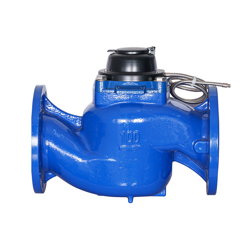 Contatore per acqua fotoelettrico a lettura diretta staccabile con ala verticale ad alta precisione WS-DN40-DN200