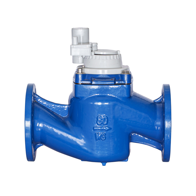 Contatore per acqua integrato non magnetico staccabile con ala verticale ad alta precisione WS-DN40-DN200