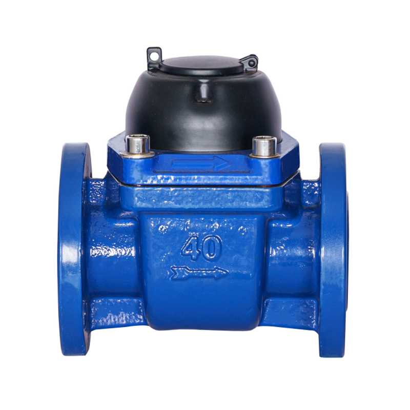 Contatore dell'acqua ad ala spirale orizzontale WPH-DN40-DN65WPH