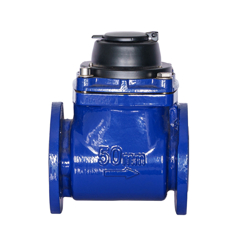Contatore per acqua ad ala a spirale rimovibile orizzontale WPH DN50-DN200