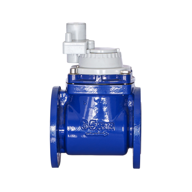 Contatore per acqua integrato non magnetico con ala a vite rimovibile orizzontale WPH DN50-DN200