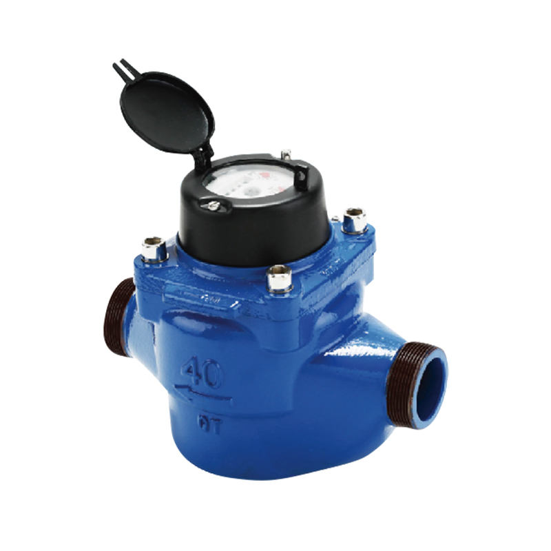 Contatore dell'acqua per monitoraggio condotte WS DN40